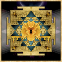 Load image into Gallery viewer, PUJA #8