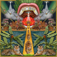 Load image into Gallery viewer, NEW WORLD ORDER REDUX