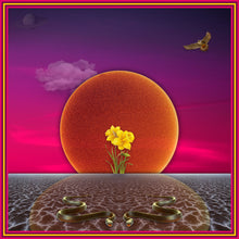 Load image into Gallery viewer, OLDEST STORY