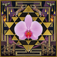 Load image into Gallery viewer, PUJA #7