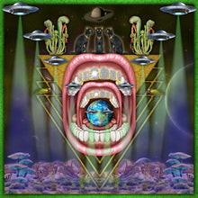 Load image into Gallery viewer, PUJA #11