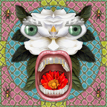 Load image into Gallery viewer, TIJUANA